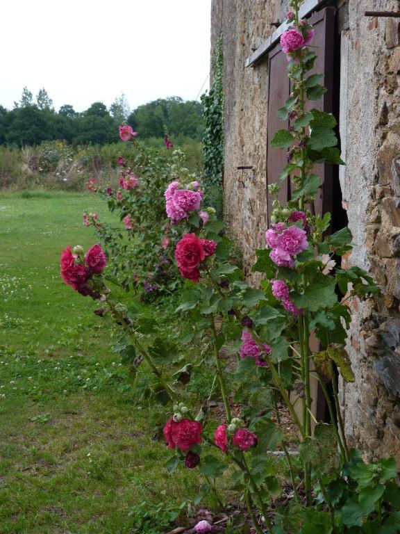 Chambres D'Hotes Le Chateau Rouge Saint-Germain-sur-Moine Luaran gambar
